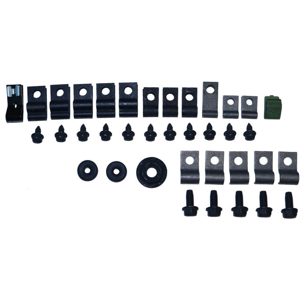 1970 Ford Mustang 6cyl, Hardtop Clip Kit 35pc