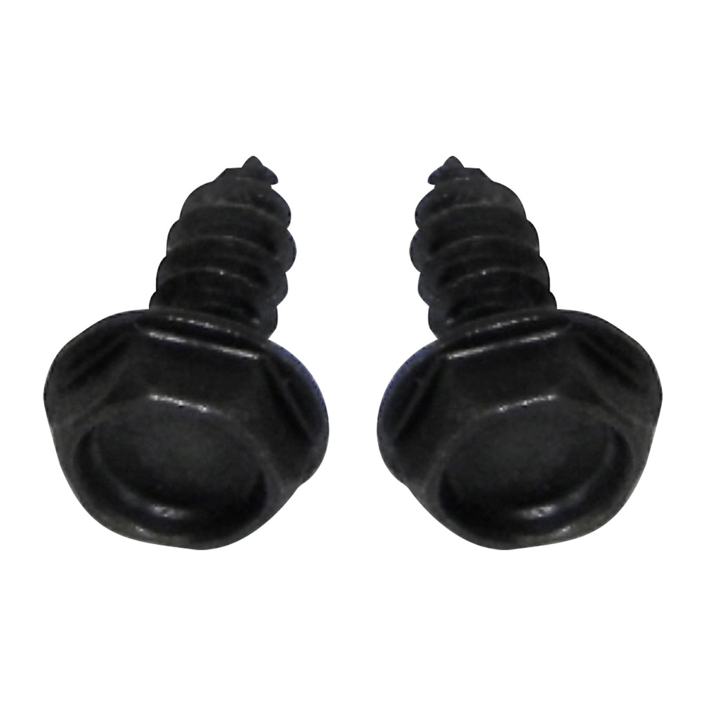 1964-79 GM Blower Motor Resistor Mounting Screws 2pc