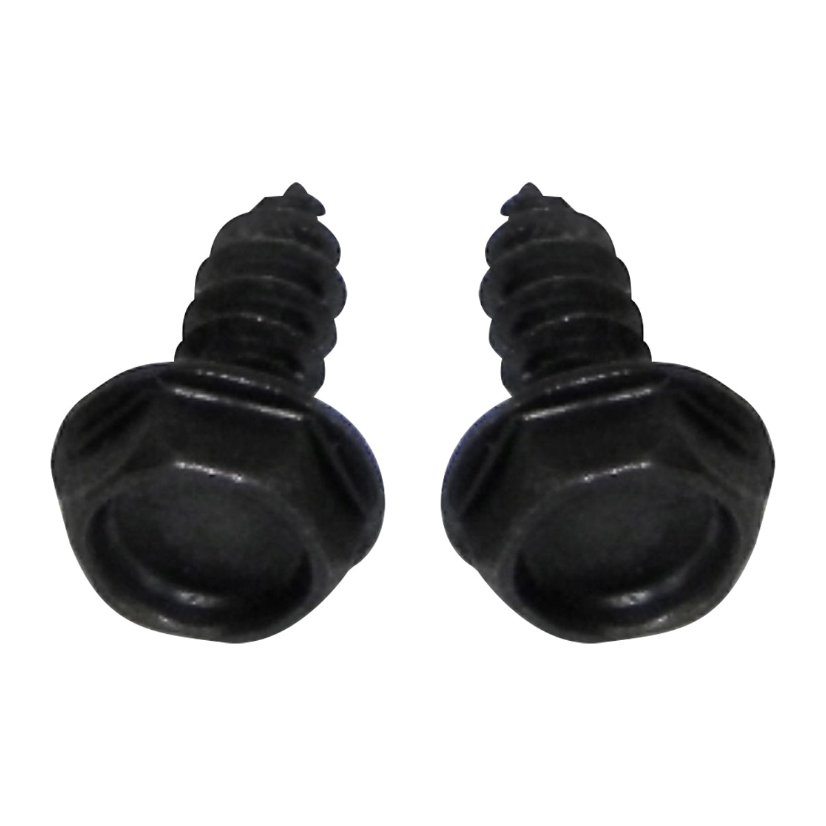 1964-79 GM Blower Motor Resistor Mounting Screws 2pc