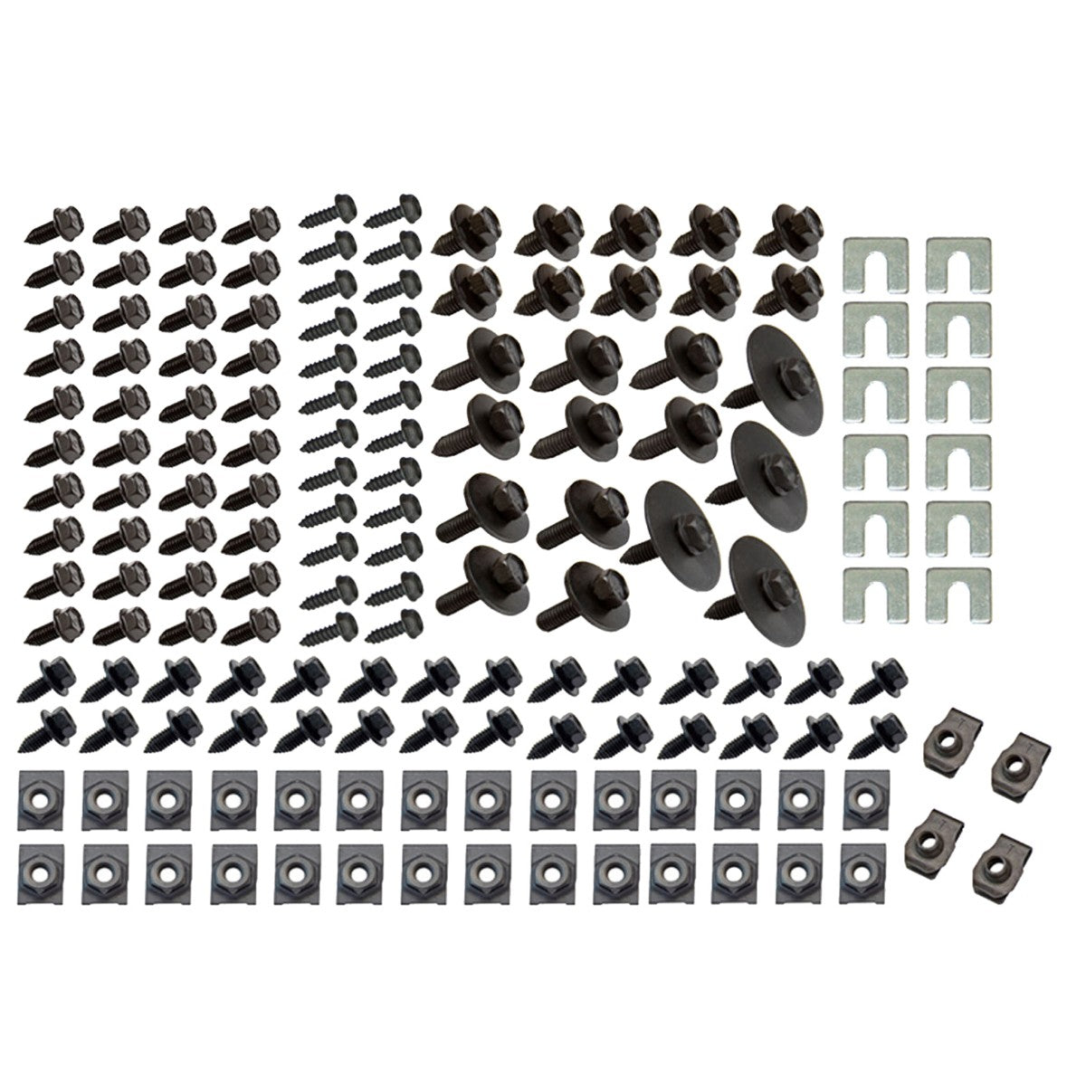 1964-81 GM (All Models) Front Fender End Bolt Kit Common to all GM, 158pc