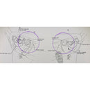 1968-72 GM A-Body Cowl Vent Flap Mounting Clips 2pc