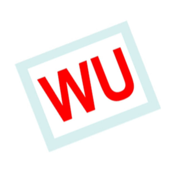 1976 Firebird/TA - WU Block Decal - 400CID, 185HP, 1pc